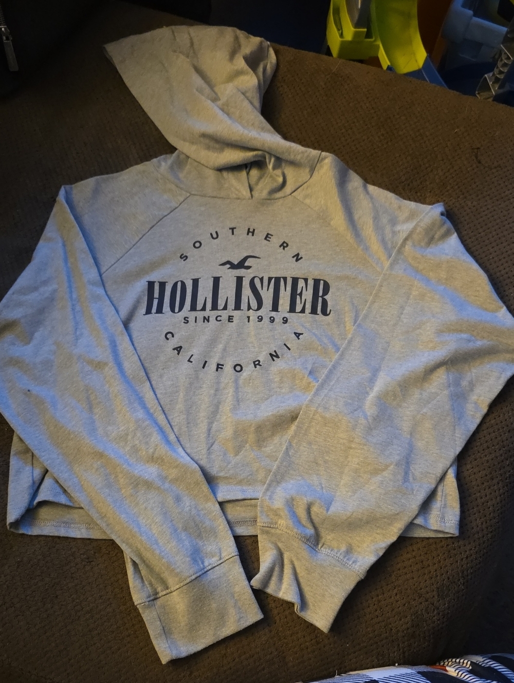 Hollister: Women's Light Gray Cropped Crewneck Sweatshirt with Navy Logo